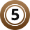 bolaconnect.com