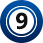 bolaconnect.com